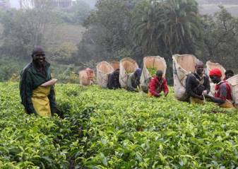 Prévenir la discrimination et le harcèlement basés sur le genre en milieu de travail